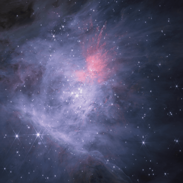 Questa regione di formazione stellare di un milione di anni contiene migliaia di nuove stelle e centinaia di oggetti di massa planetaria. Crediti: Nasa, Esa, Csa /M. McCaughrean, S. Pearson
