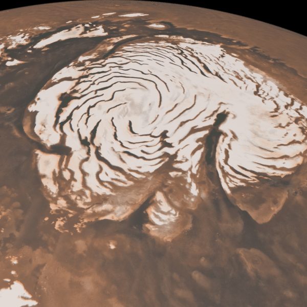 Immagine ottenuta dal Mars Global Surveyor della Nasa che mostra il permafrost della regione polare settentrionale di Marte. Crediti: Nasa/Jpl-Caltech/Msss