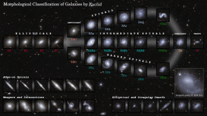 La sequenza morfologica delle galassie, con le immagini del telescopio spaziale Euclid (cliccare per ingrandire; una versione senza annotazioni è disponibile qui). Crediti: Diagramma: Esa/Euclid/Euclid Consortium/Nasa, Diagram by J.-C. Cuillandre, L. Quilley, F. Marleau. Images alone: Esa/Euclid/Euclid Consortium/Nasa, image processing by J.-C. Cuillandre, E. Bertin, G. Anselmi