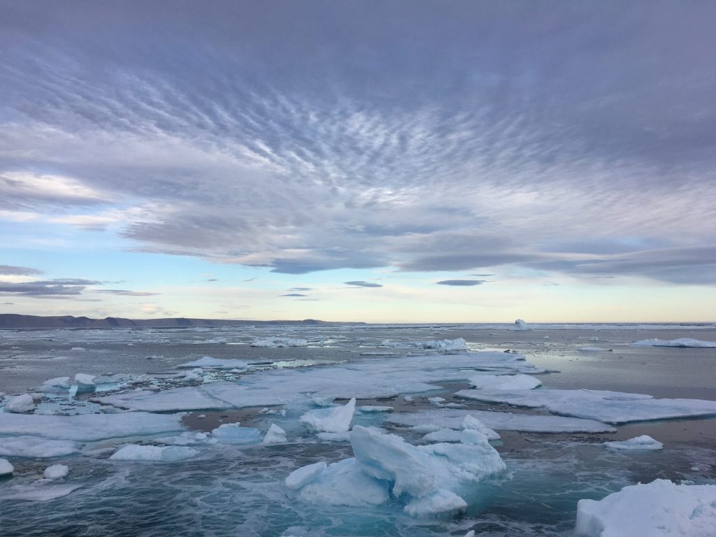 Ghiaccio marino artico nei pressi del ghiacciaio Ryder, al largo del mare di Lincoln. Crediti: Crediti: Laura Gemery, Usgs