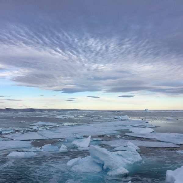 Ghiaccio marino artico nei pressi del ghiacciaio Ryder, al largo del mare di Lincoln. Crediti: Crediti: Laura Gemery, Usgs