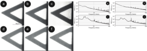 Rappresentazione del sensore con i batteri (a-f) e la risposte in frequenza delle fluttuazioni di nanomovimento (g-j)