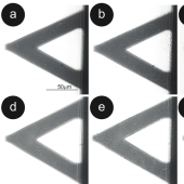 Rappresentazione del sensore con i batteri (a-f) e la risposte in frequenza delle fluttuazioni di nanomovimento (g-j)