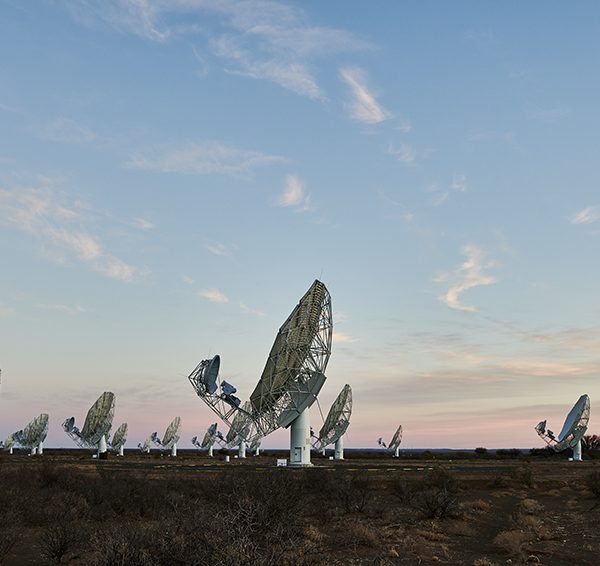 Antenne del radiotelescopio sudafricano MeerKat. Crediti: E. Sacchetti/Inaf