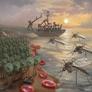 Pubblicato su Nature uno studio di Cnr-Irgb e Università di Sassari: apre la strada a nuove terapie