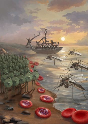 Pubblicato su Nature uno studio di Cnr-Irgb e Università di Sassari: apre la strada a nuove terapie